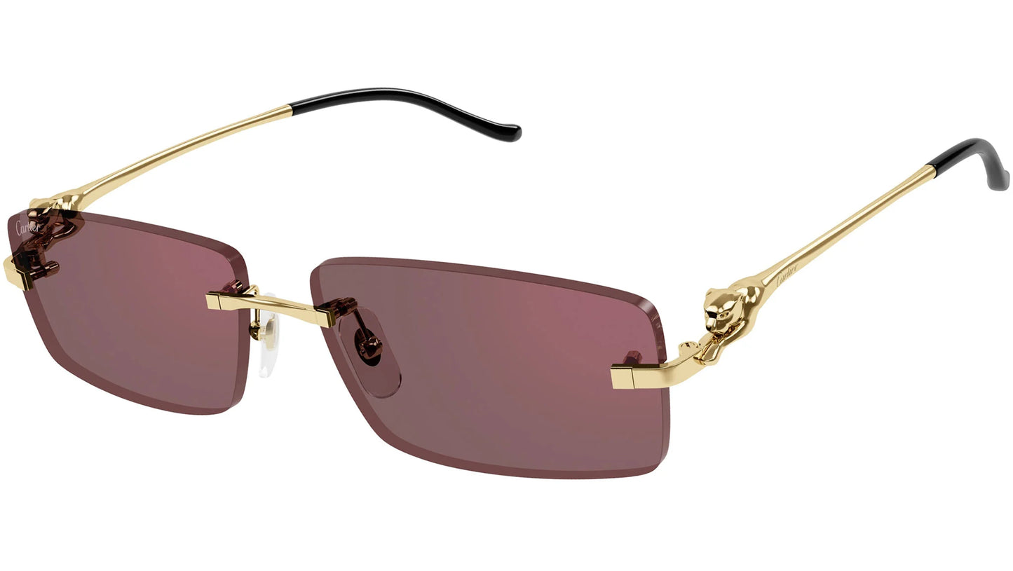 Cartier CT0430S
