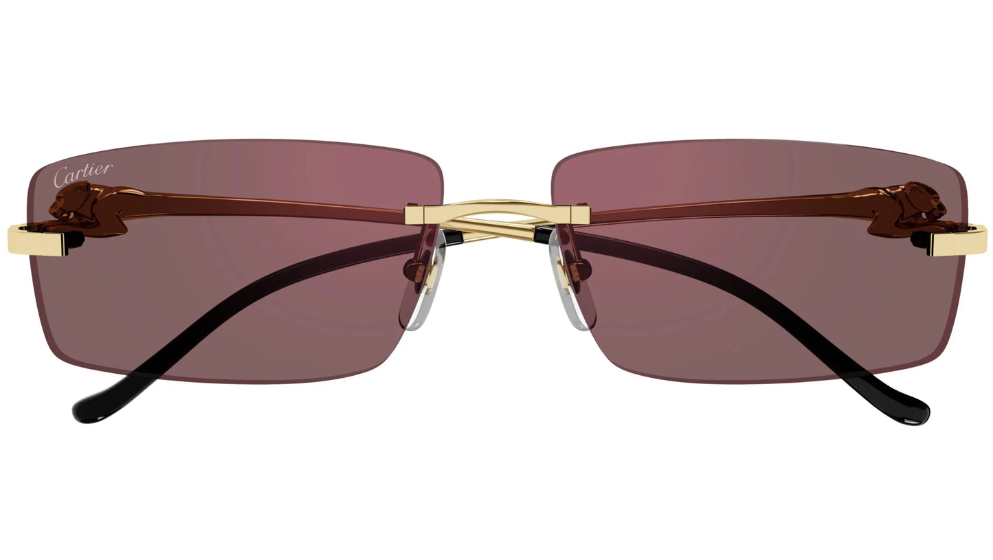 Cartier CT0430S