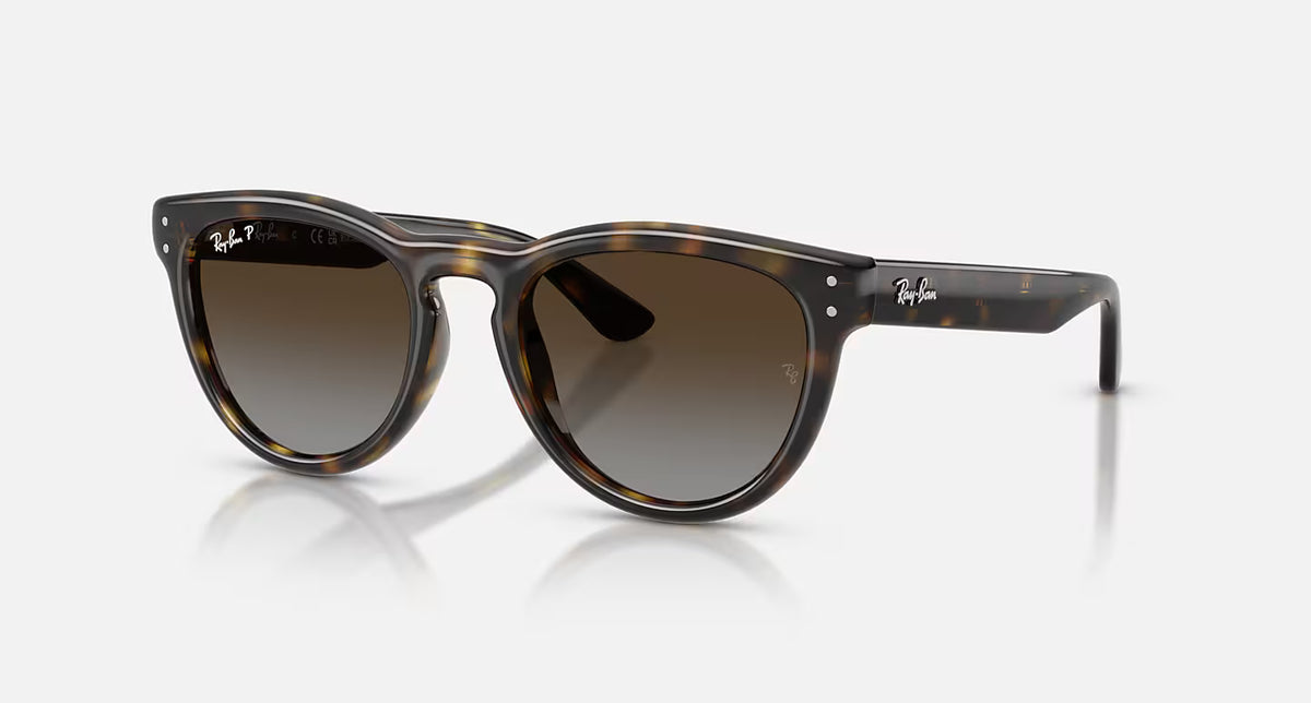 Ray-Ban RB2204