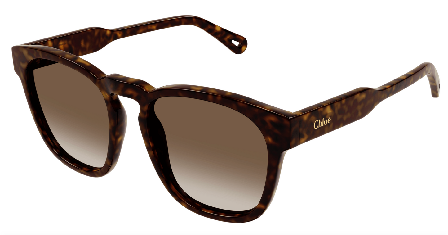 Chloé CH0160S