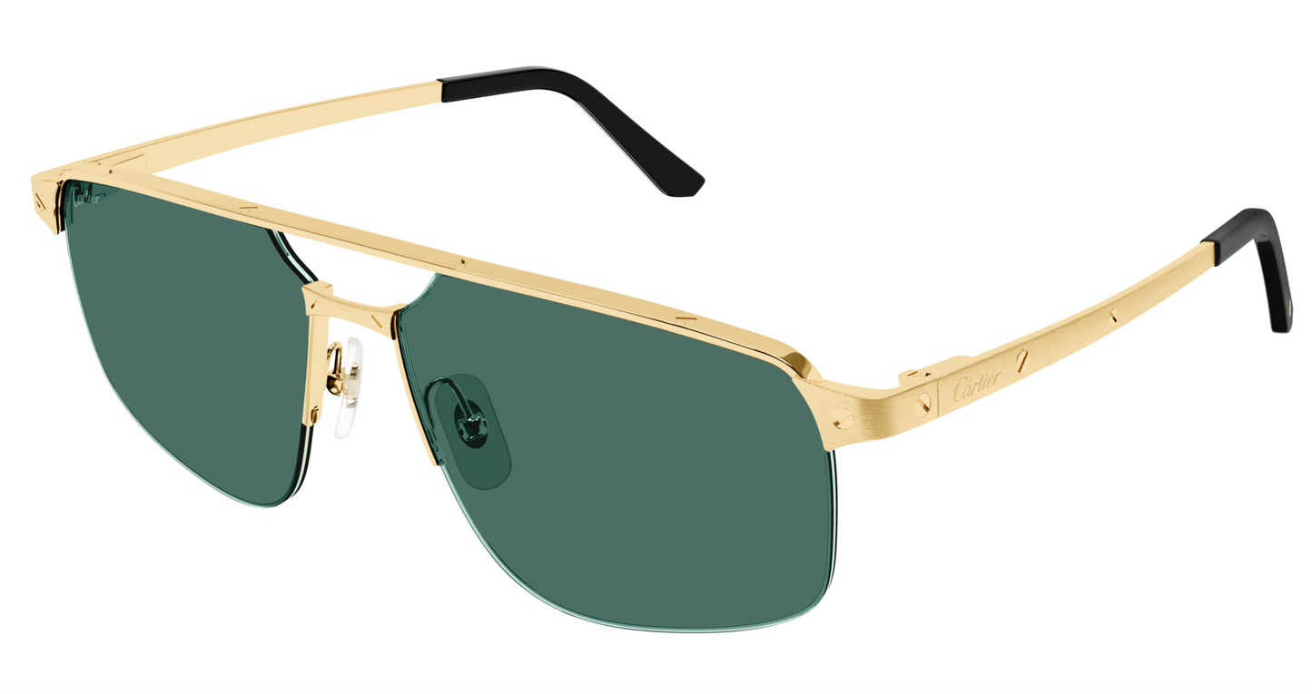 Cartier CT0385S