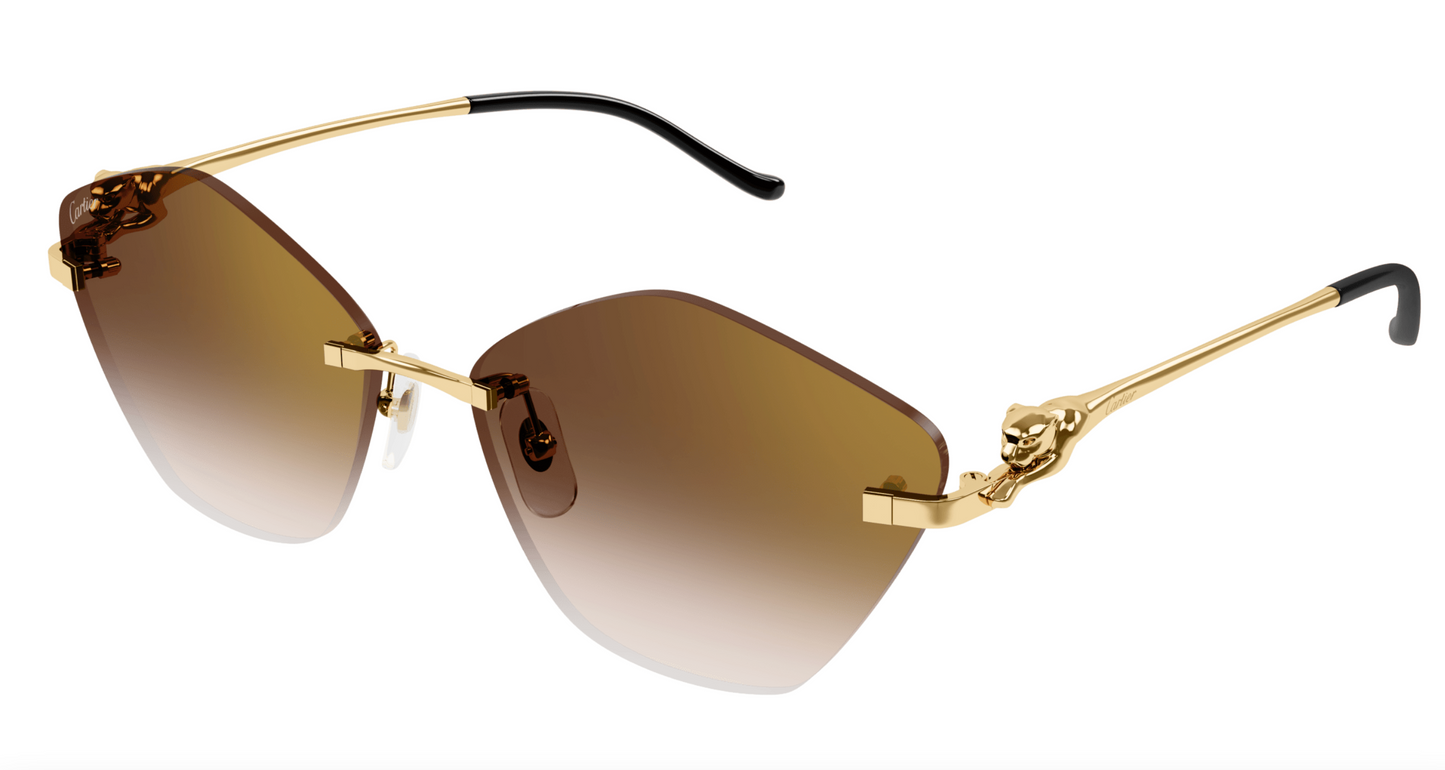 Cartier CT0429S