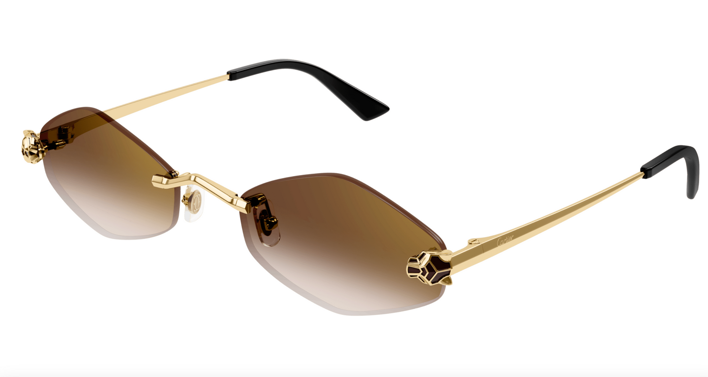 Cartier CT0433S