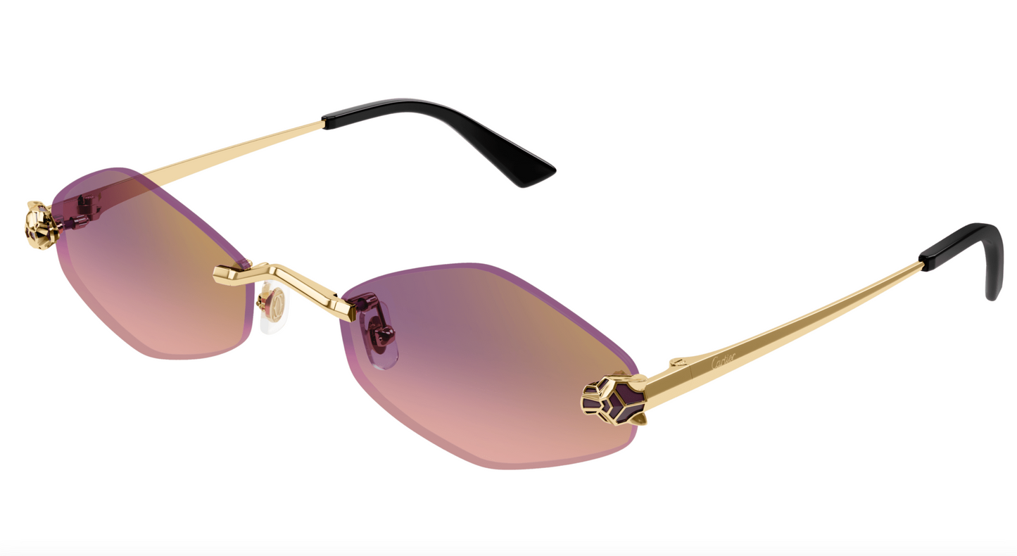 Cartier CT0433S