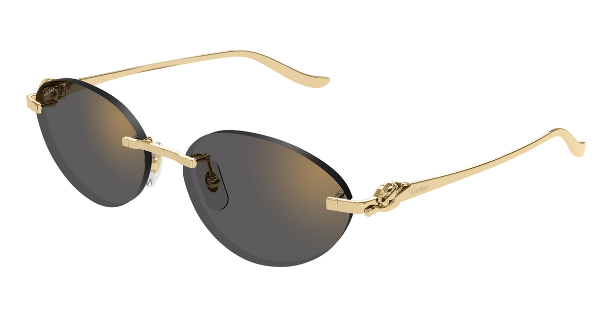 Cartier CT0504S