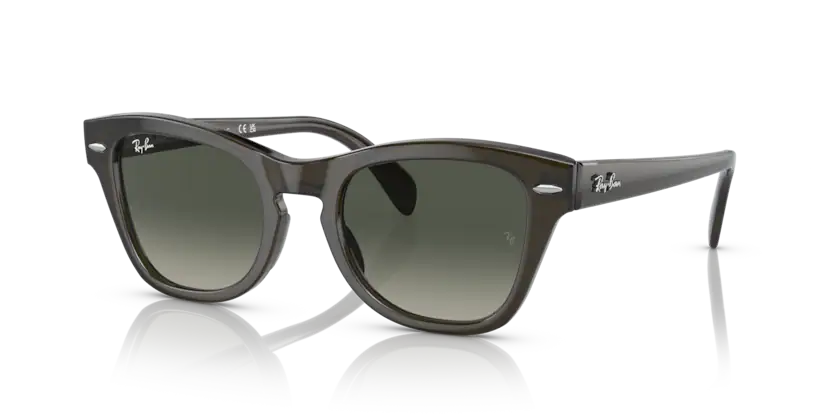 Ray-Ban RB0707S