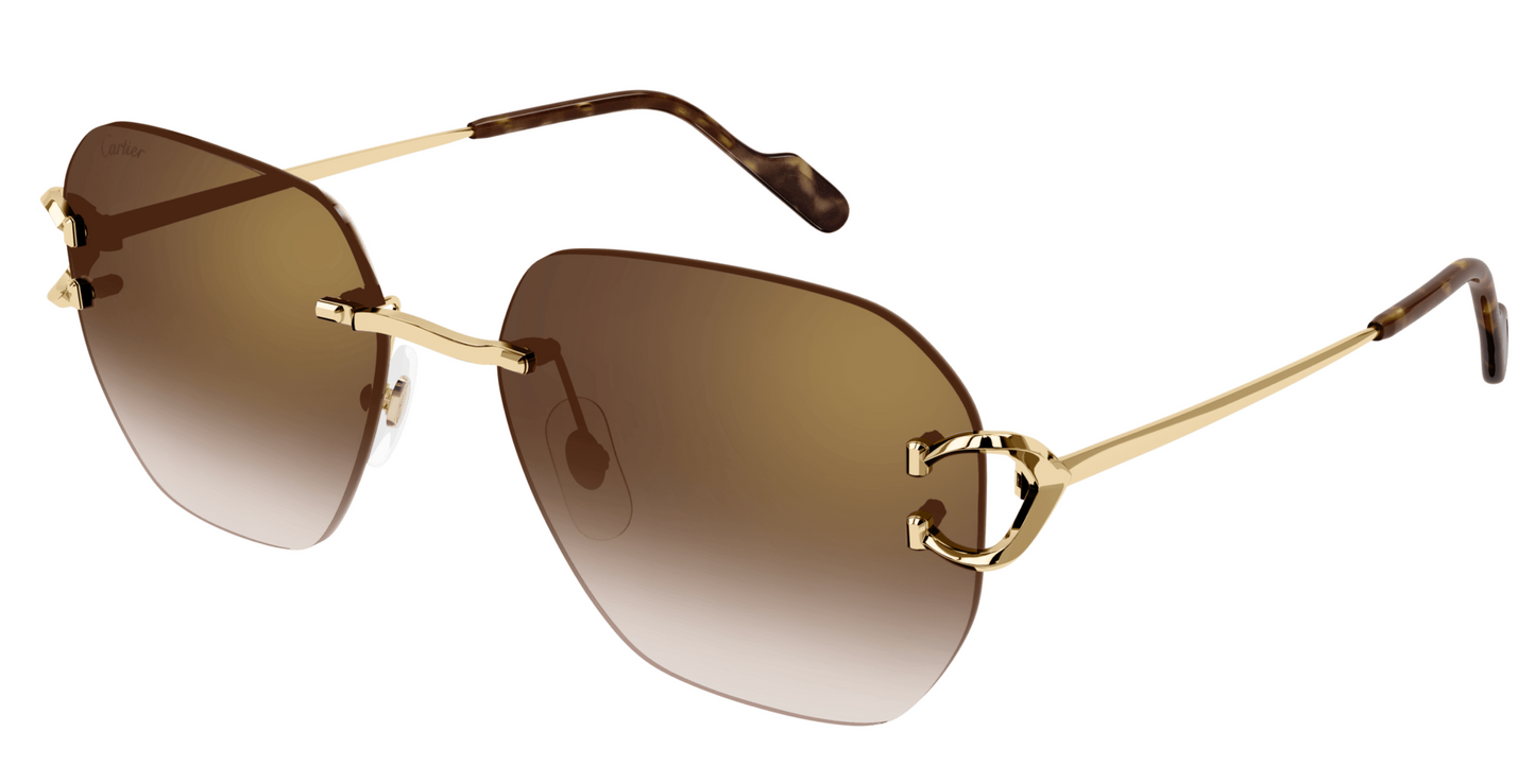 Cartier CT0394S