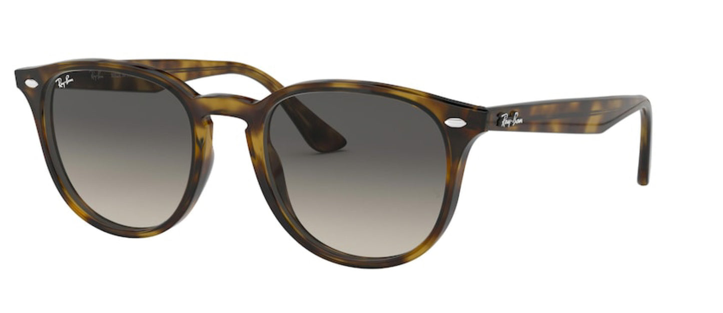 Ray-Ban RB4259