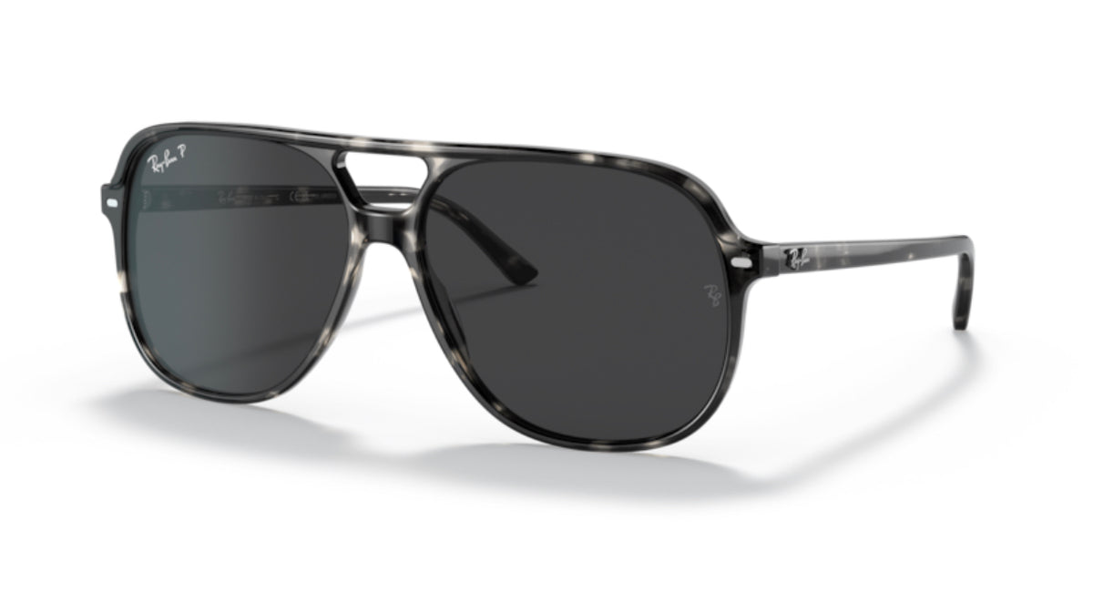Ray-Ban RB2198 BILL