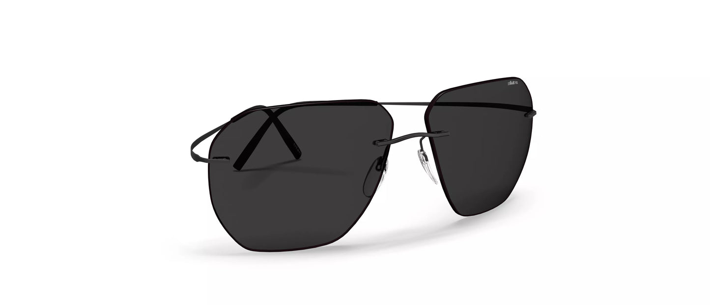 Silhouette Felis 8743