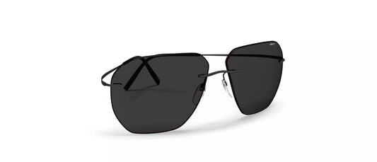 Silhouette Felis 8743