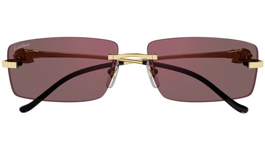 Cartier CT0430S