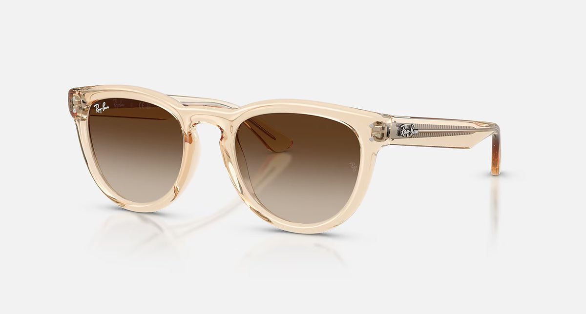 Ray-Ban RB2204
