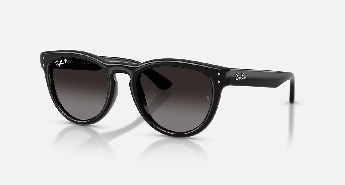 Ray-Ban RB2204