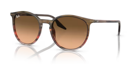 Ray-Ban RB2204