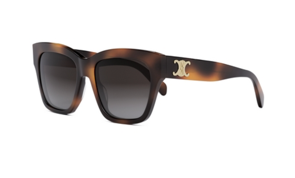 Celine CL40253I