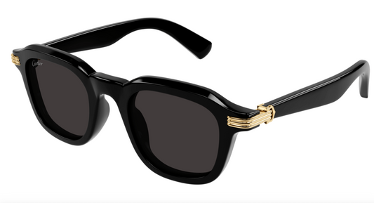 Cartier CT0536S