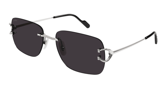 Cartier CT0330S