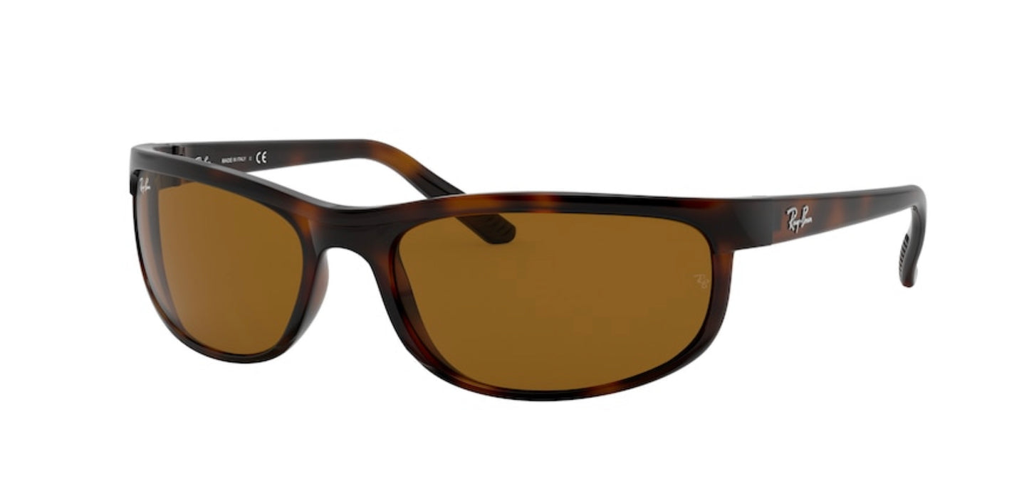 Ray-Ban RB2027 PREDATOR 2
