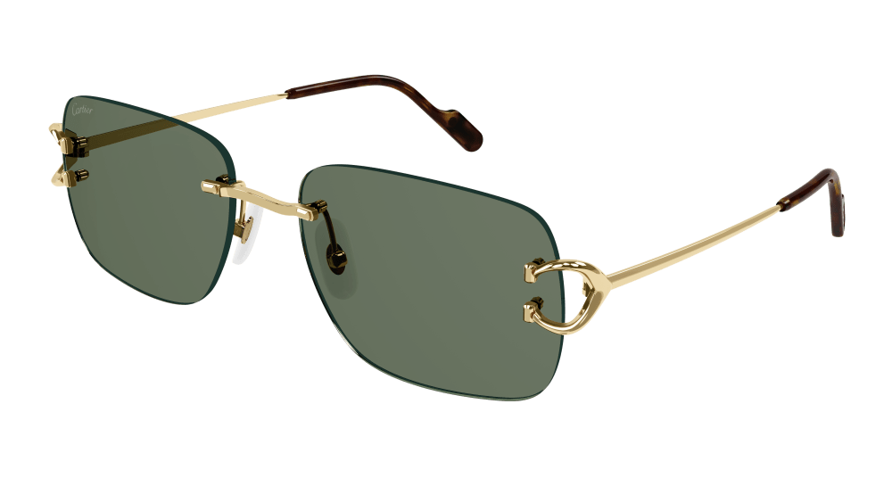 Cartier CT0330S