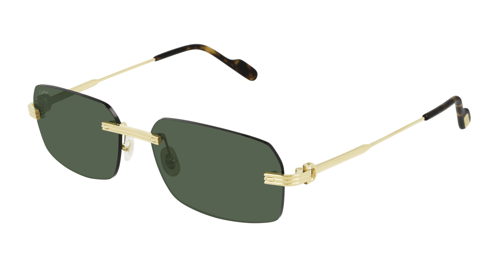 Cartier CT0271S